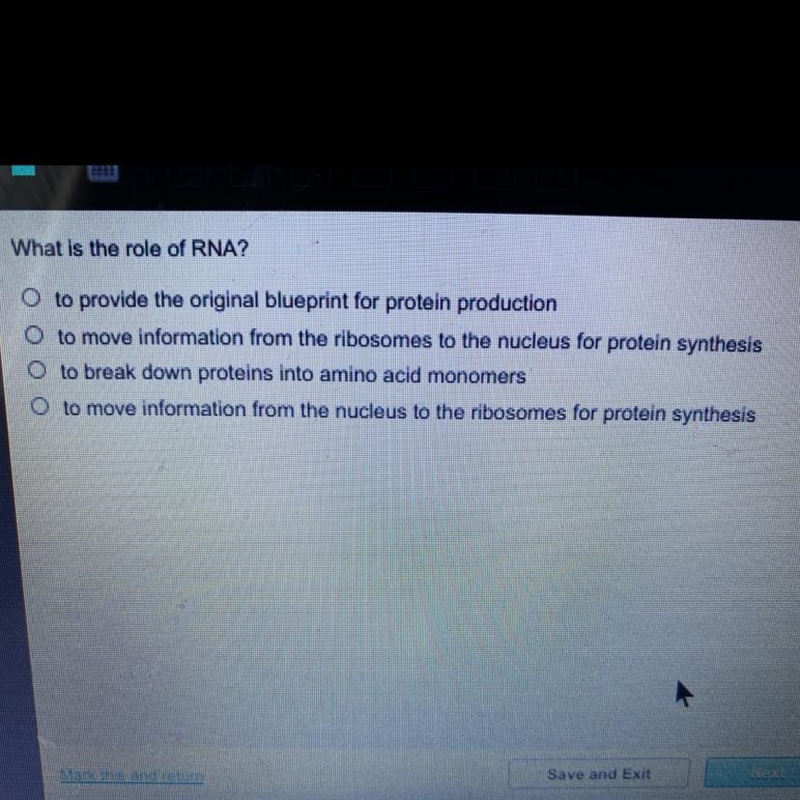 What is the role of RNA?-example-1