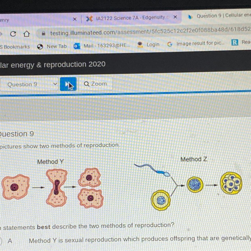 Which statements best describe the two methods of reproduction? Method Y is sexual-example-1