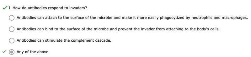 How do antibodies respond to invaders?-example-1