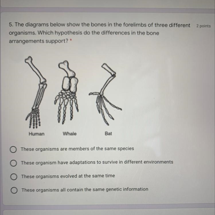 5. The diagrams below show the bones in the forelimbs of three different organisms-example-1