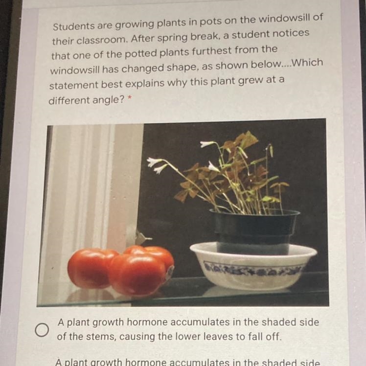 Students are growing plants in pots on the windowsill of their classroom. After spring-example-1