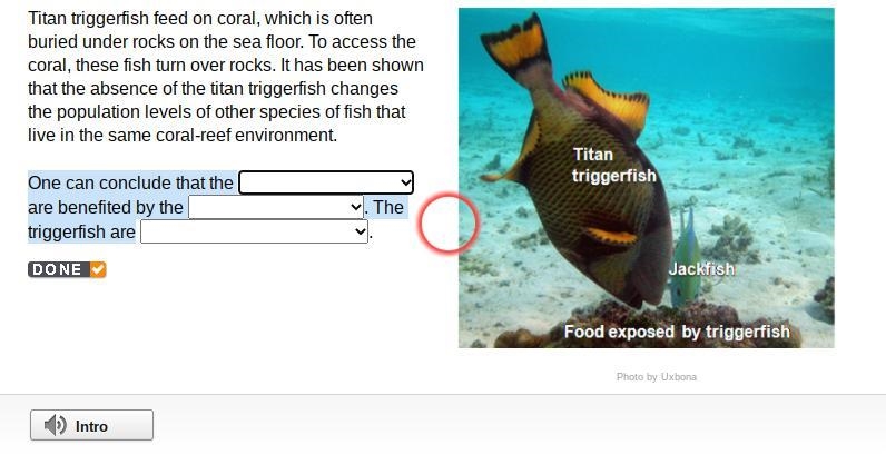 One can conclude that the are benefited by the . The triggerfish are-example-1