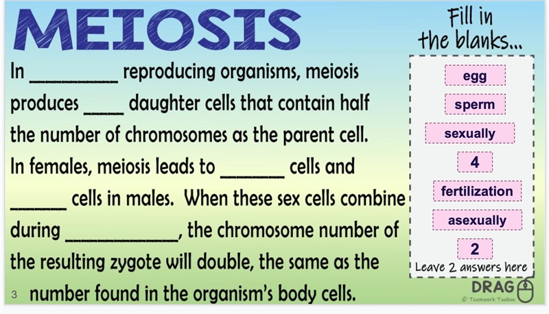 I need help with this question about meiosis-example-1