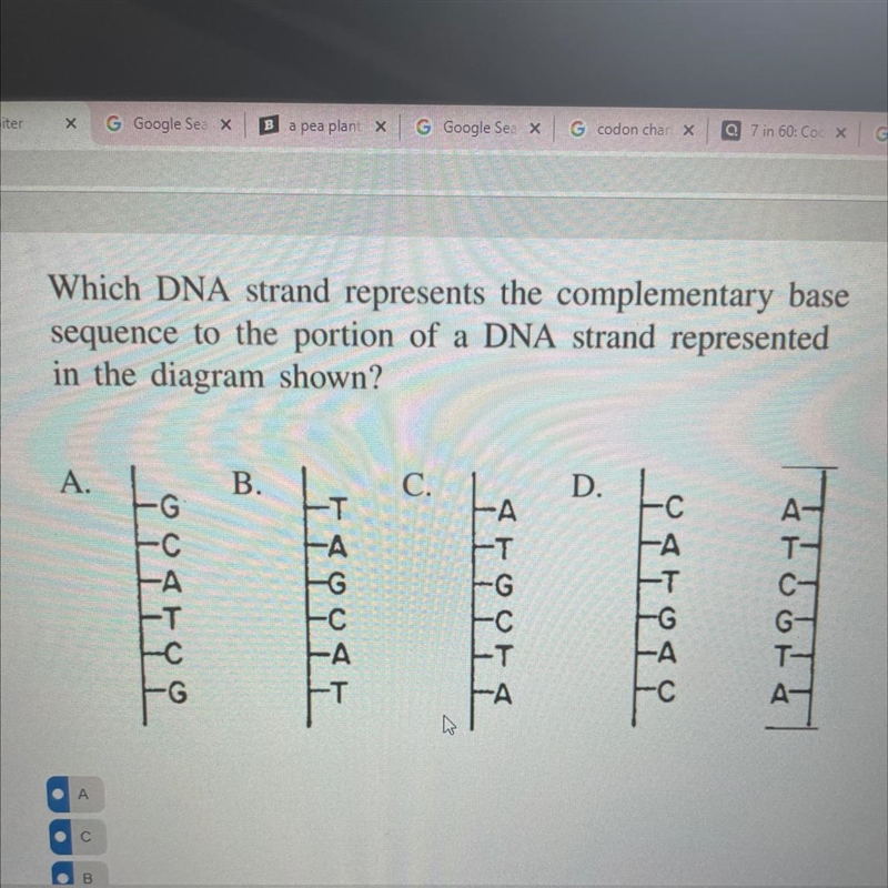 Which DNA strand represents the complementary base sequence to the portion of a DNA-example-1