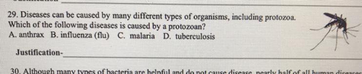 Diseases can be caused by many different types of organisms, including protozoa. Which-example-1