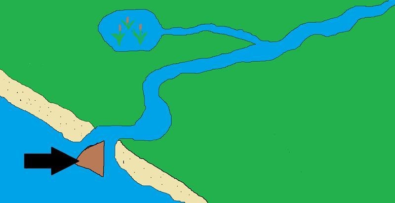 Which landform does the arrow show? delta barrier island flood plain marsh river rapids-example-1