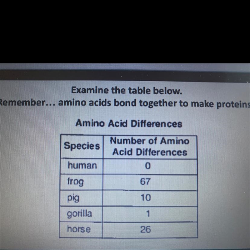 Which organism is the Least related to humans? Explain-example-1