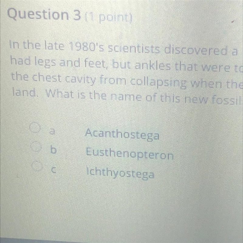 Question 3 point) in the late 1980's scientists discovered a new fossil skeleton that-example-1