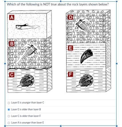 Which of the following is not true about the rock layers?-example-1