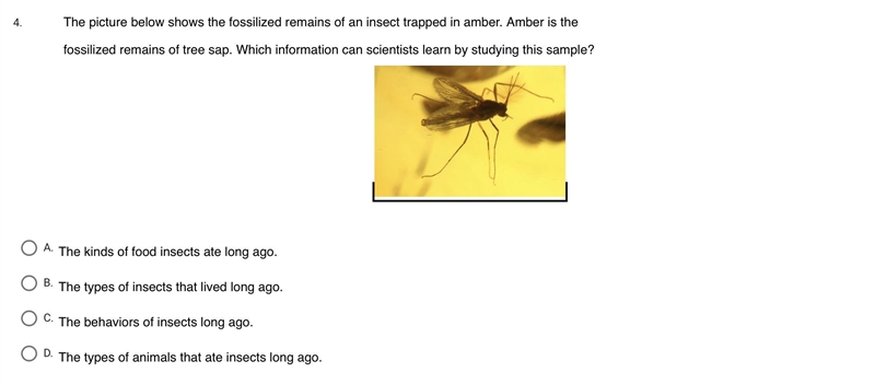 The picture below shows the fossilized remains of an insect trapped in amber. Amber-example-1