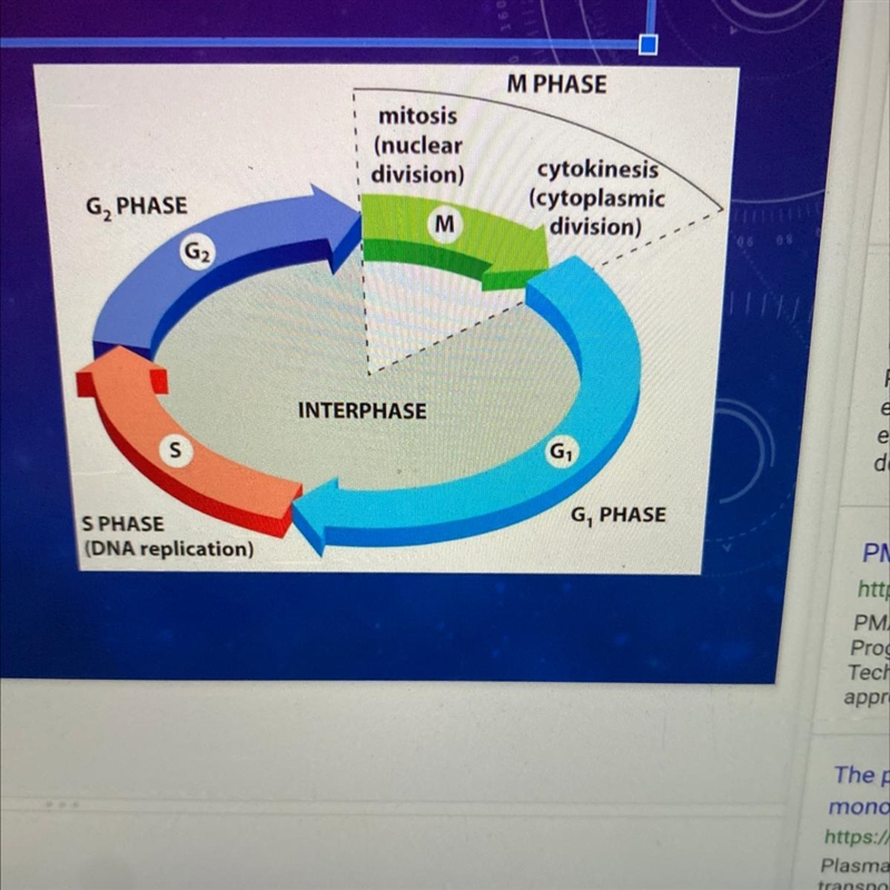 What does the acronym PMAT stand for? P- M- A- T--example-1