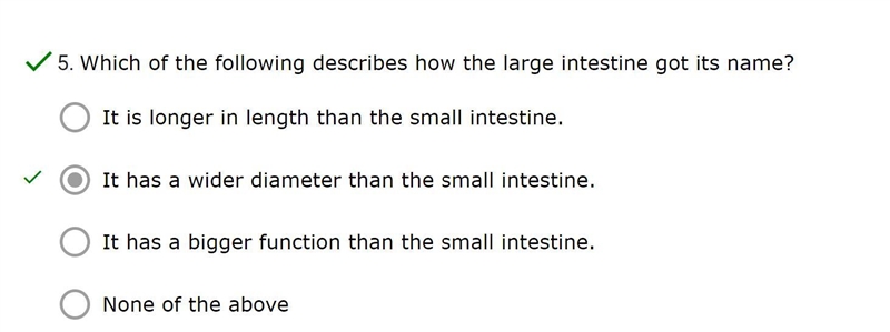 Which of the following describes how the large intestine got its name?-example-1