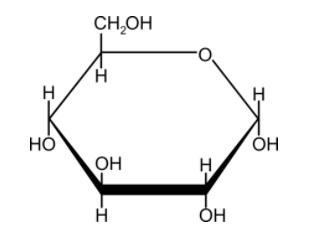 What molecule is this? A) Protein B) Lipid C) Carbohydrate D) Nucleic acid-example-1