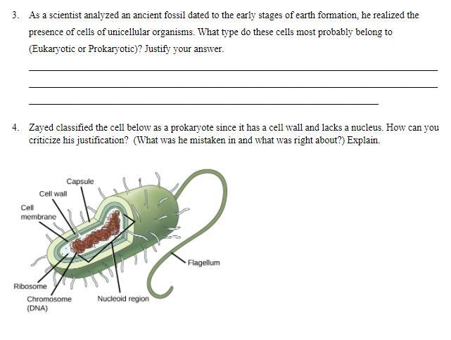 I need help please, the subject is about eukaryotic and prokaryotic cells-example-1