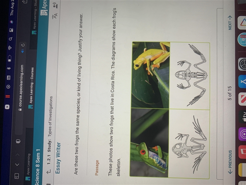 Are these two frogs the same species , or kind of living things-example-1