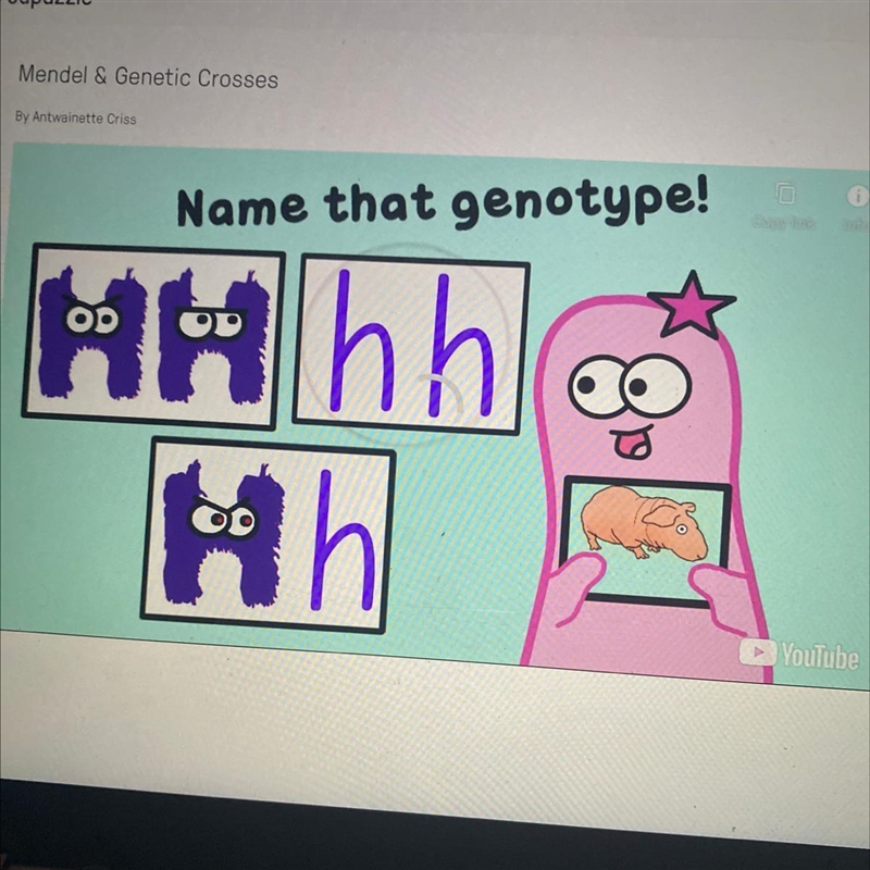 Which of the following represents a heterozygous genotype? A. Hh B. HH C. hh-example-1