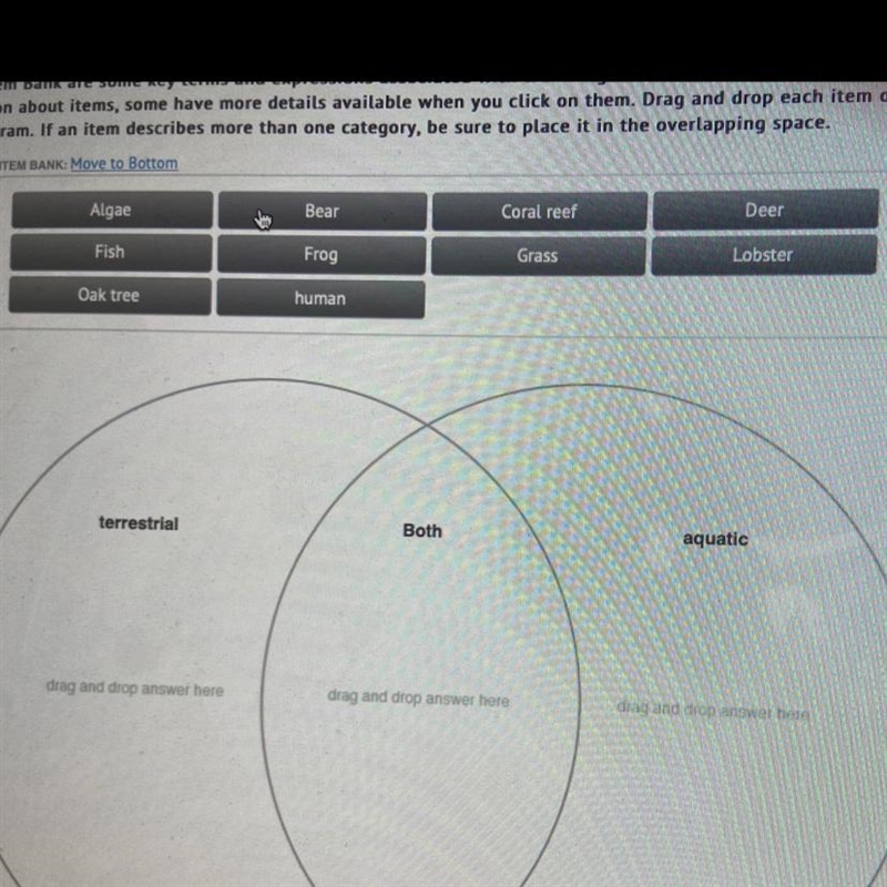 Area of the diagram ITEM BANK: Move to Bottom Deer Bear Coral reef Grass Lobster Algae-example-1