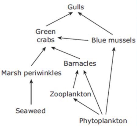 Help me please! I will report any links! Answer all of the questions using the diagram-example-1