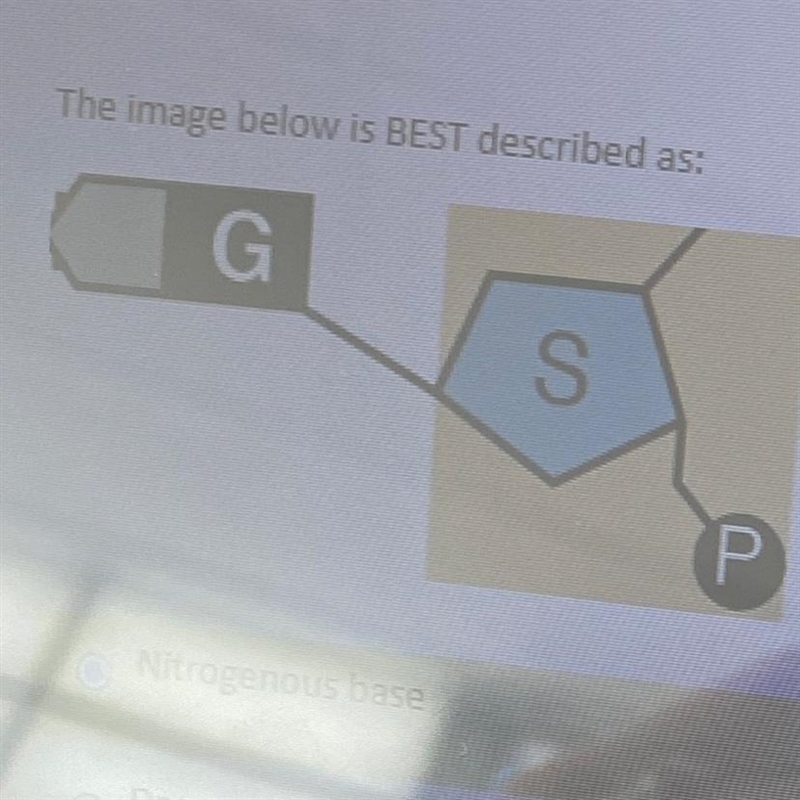 This image is best described as (DNA)-example-1