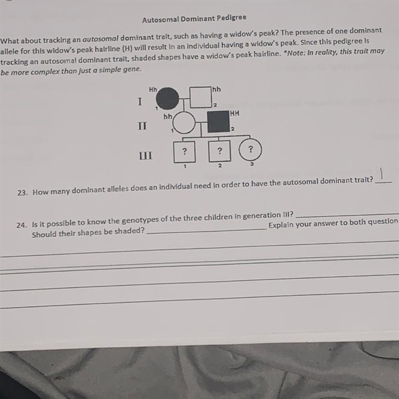 PLEASE HELP!!! 24) is it possible to know the genotypes of the three children in generation-example-1