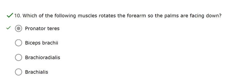 Which of the following muscles rotates the forearm so the palms are facing down?-example-1