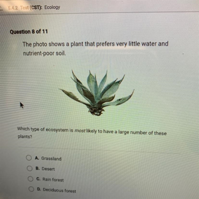 PLEASE HELP The photo shows a plant that prefers very little water and nutrient-poor-example-1