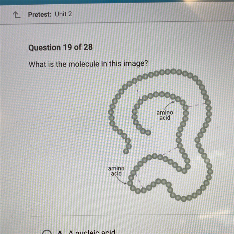 What is the molecule in this image? Nucleic acid A protein A lipid A carbohydrate-example-1