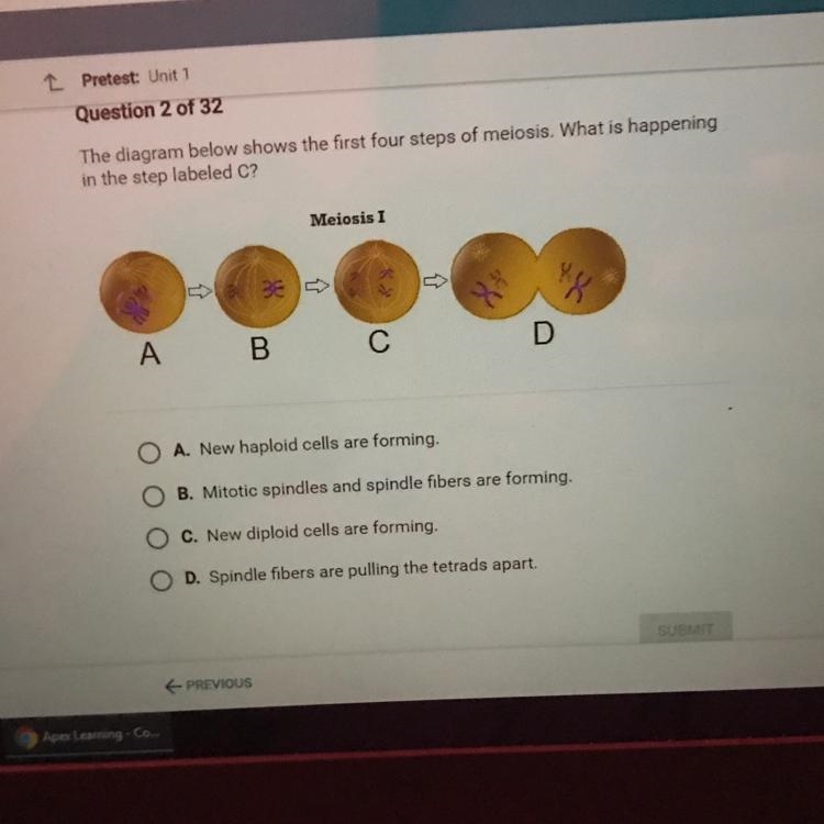 The diagram below shows the first four steps of meiosis.what's is happening in step-example-1