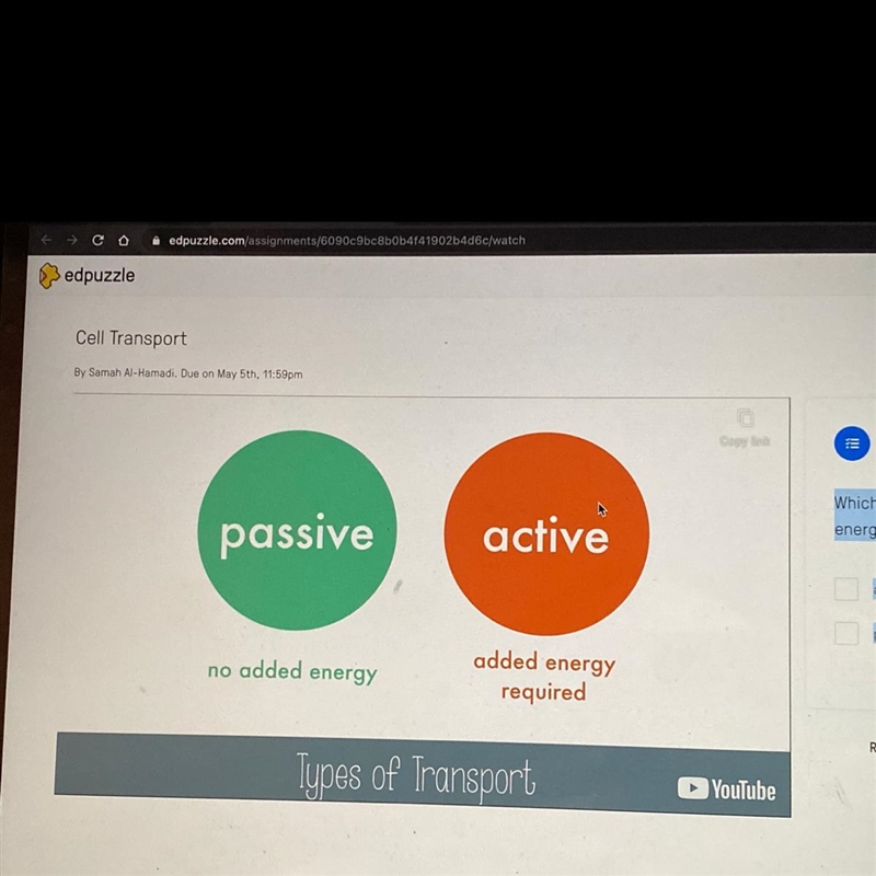 Which type of transport requires the added energy of ATP? A. active B. passive-example-1