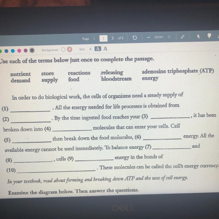 Not sure what all these answers are ?? please help ???!-example-1