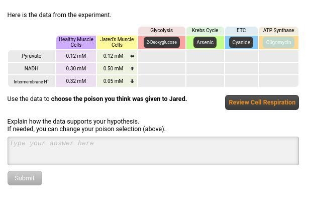 Plz help with this question-example-1