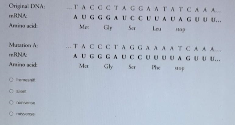 Mutation Which of the following types of mutation is illustrated below? ​-example-1