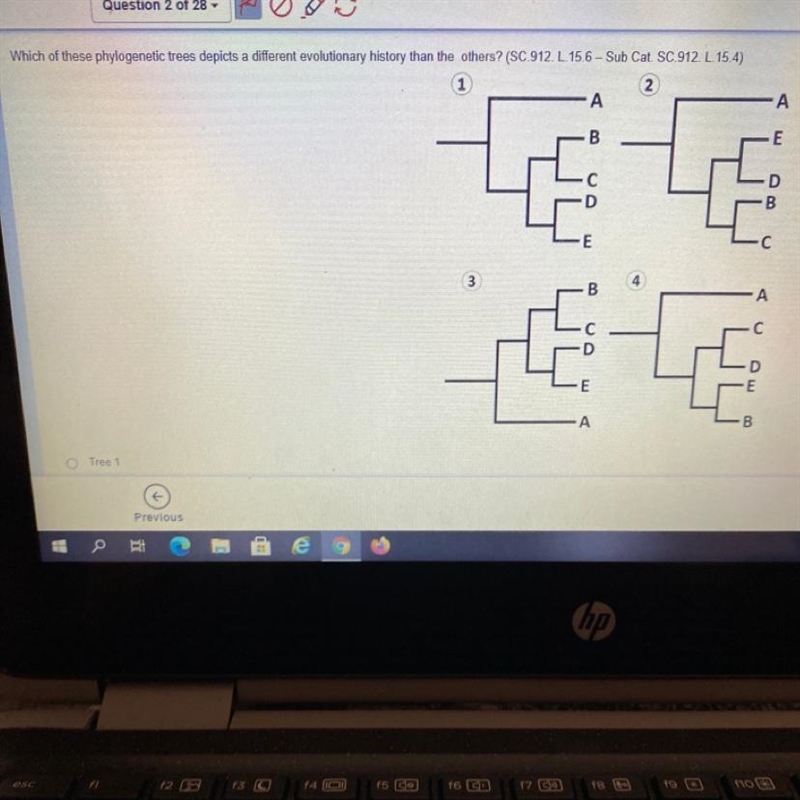 URGENT PLEASE A) Tree 1 B) Tree 4 C) Tree 2 D) Tree 3-example-1