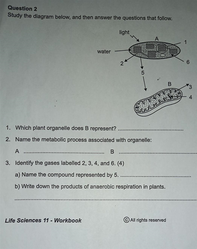 Help Help Help Help Help Please​-example-1