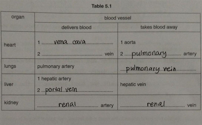 Delivers blood to the heart​-example-1