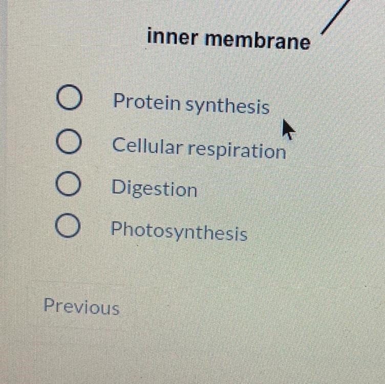 What is the function of this organelle-example-1