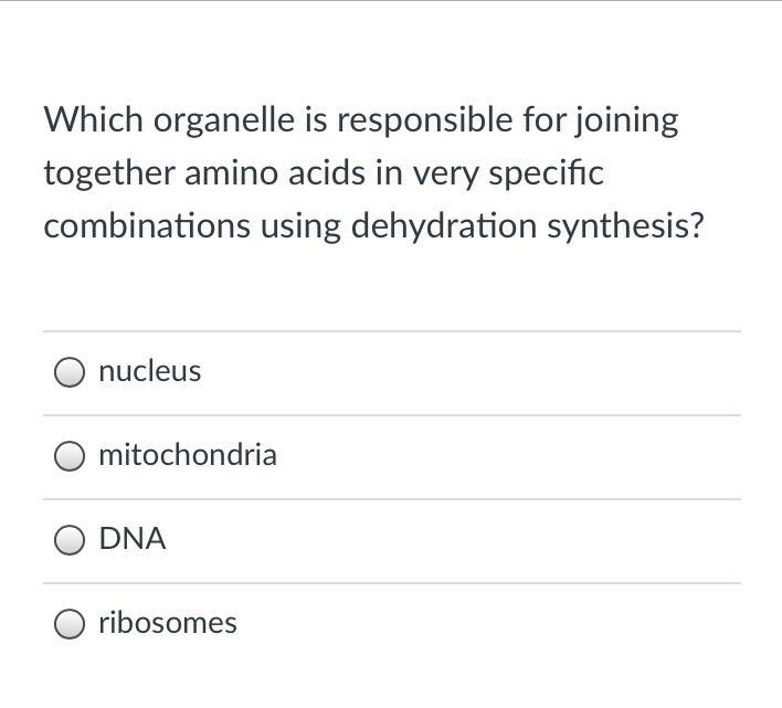 What is the answer to this?-example-1