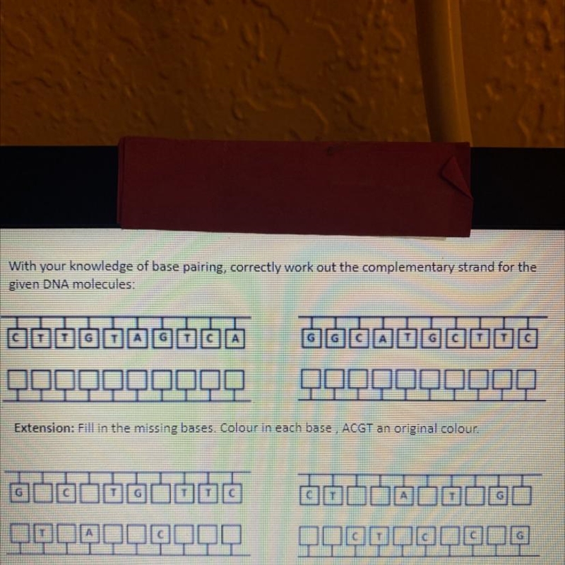 With your knowledge on base pairing, correctly work out the complementary strand for-example-1