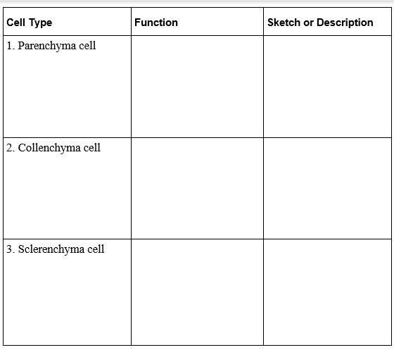 Write the functions of each of the three basic cell types, and sketch or describe-example-1