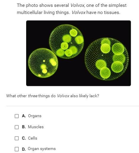 ANSWER QUICK PLZ The photo shows several Volvox, one of the simplest multicellular-example-1