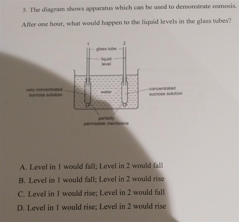 Please help me with question five ​-example-1