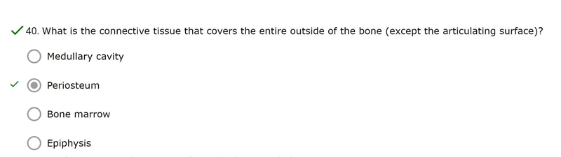 What is the connective tissue that covers the entire outside of the bone (except the-example-1