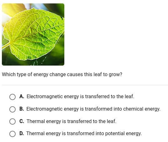 Pls help its easy 6th grade science one question-example-1