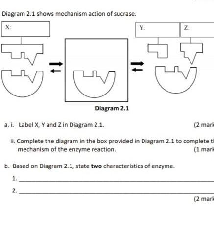 What are the answers to these​-example-1