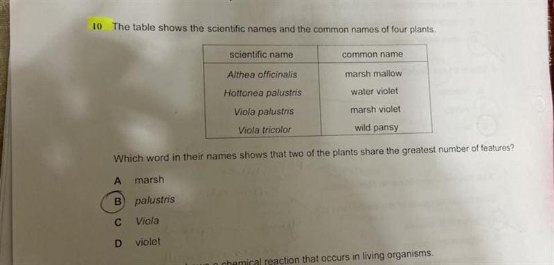 Can someone tell me if it’s correct or no?-example-1