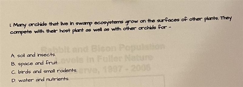 Many orchids that live in swamp ecosystems grow on the surfaces of other plants. They-example-1