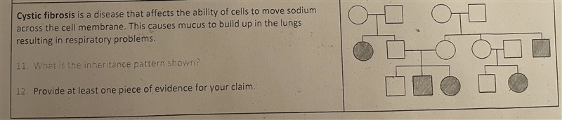 Someone PLEASE HELP!!!-example-1