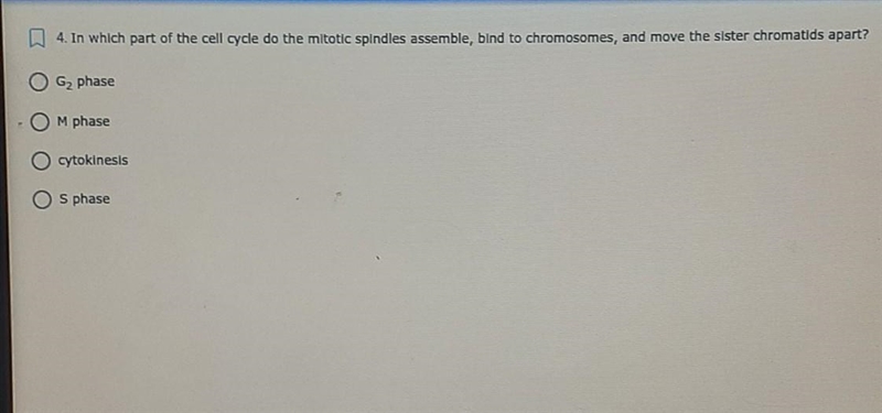 In which part of the cell cycle do the mitotic spindles assemble, bind to chromosomes-example-1