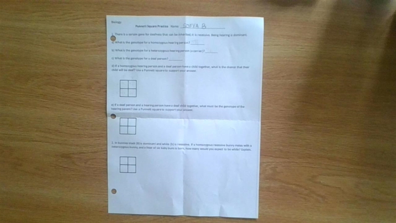 Help! I don't understand how to set up the Punnett square on these questions!-example-1