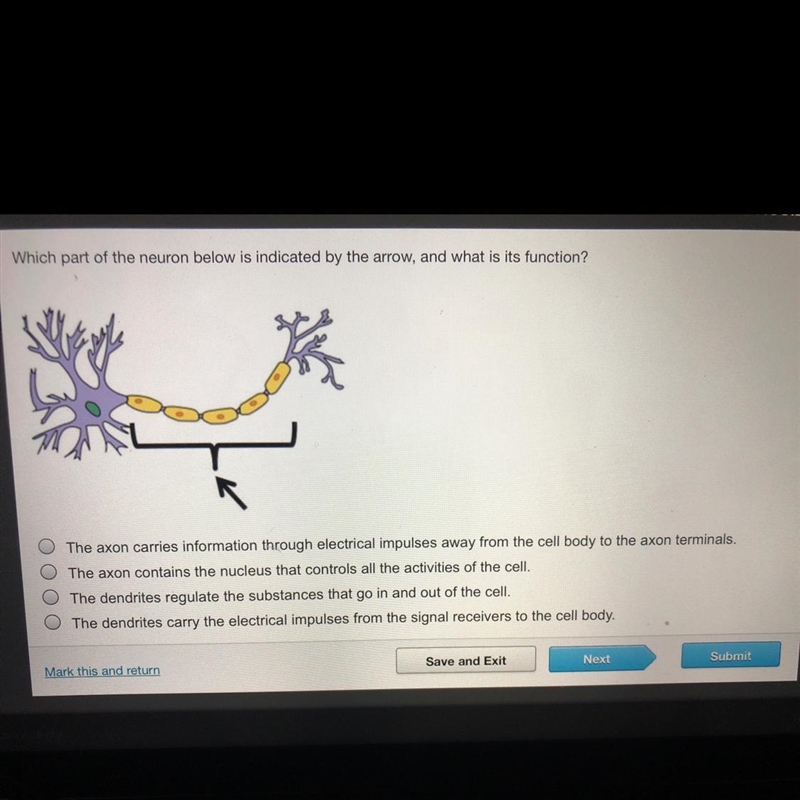 Which part of the neuron below is indicated by the arrow, and what is its function-example-1